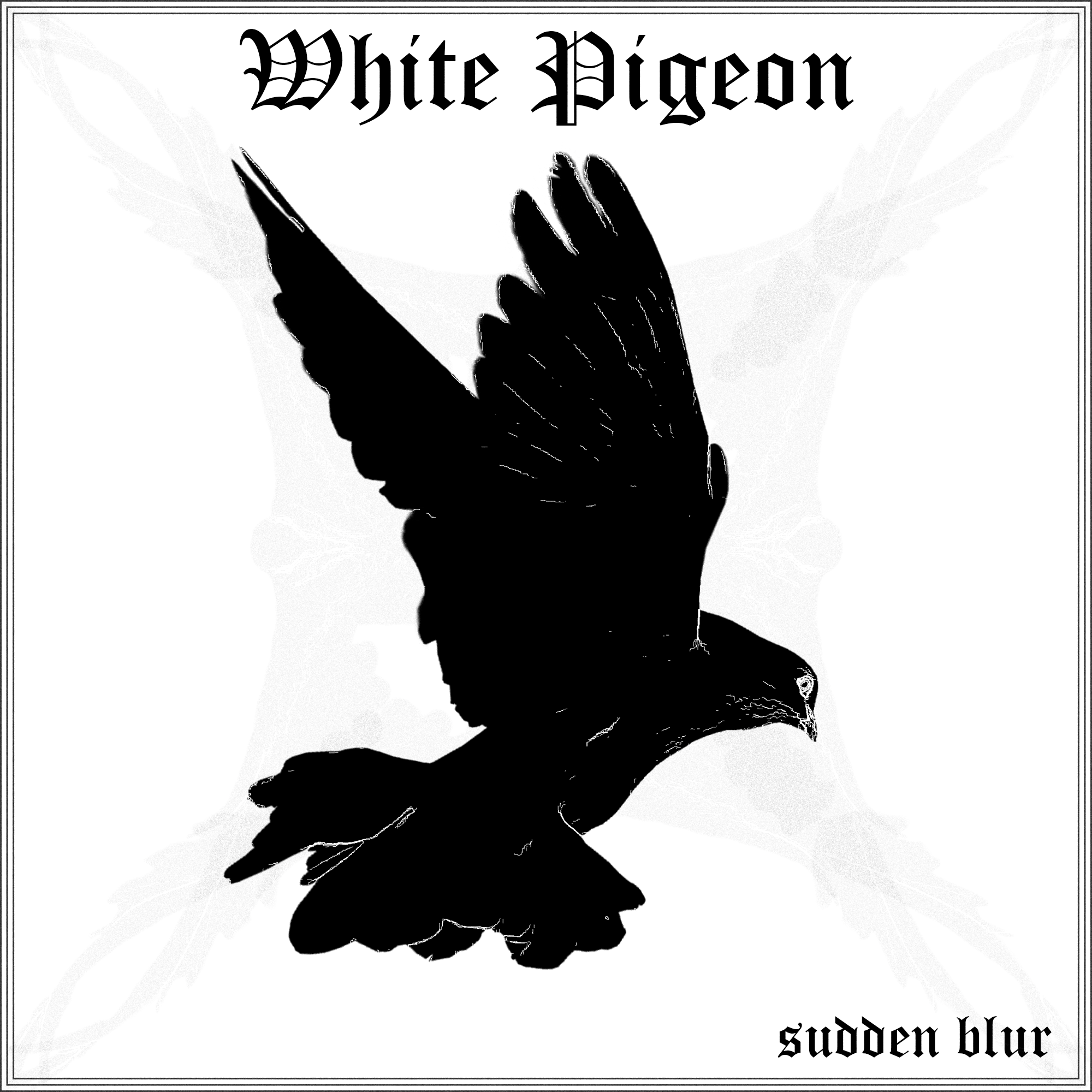 White Pigeon